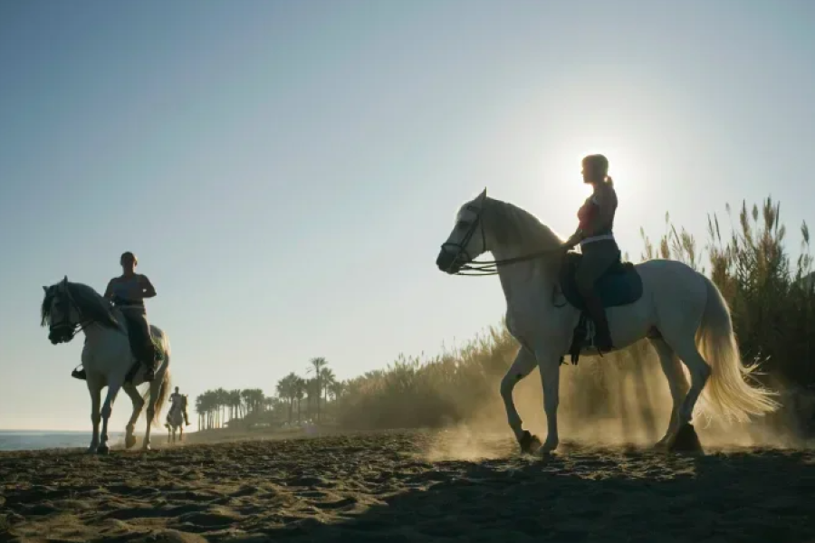 Horse Riding by the Beach